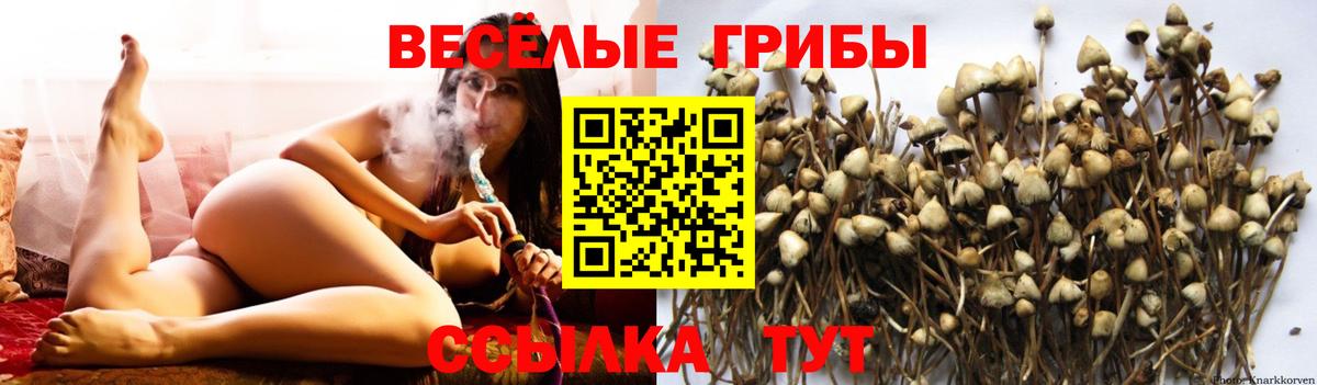 Псилоцибиновые грибы Psilocybe  Псилоцибиновые грибы Magic Shrooms  Вход с VPN  купить наркотики сайты  Куйбышев 